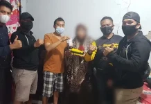 Simpan Sabu 52,4 Gram, Ibu Rumah Tangga di Kolaka Dibekuk Simpan Sabu 52,4 Gram, Ibu Rumah Tangga di Kolaka Dibekuk