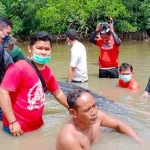 Hiu Paus Sepanjang 3 Meter Terdampar di Sungai Belakang Rumah Warga Hiu Paus Sepanjang 3 Meter Terdampar di Sungai Belakang Rumah Warga