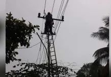 Pascagempa, PLN Pulihkan Listrik di Sulbar, 436 Gardu Berhasil Dinyalakan Pascagempa, PLN Pulihkan Listrik di Sulbar, 436 Gardu Berhasil Dinyalakan