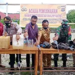 Polsek Siompu Musnahkan Ratusan Liter Miras Tradisional Polsek Siompu Musnahkan Ratusan Liter Miras Tradisional