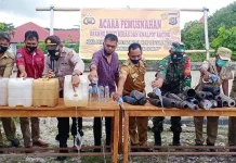 Polsek Siompu Musnahkan Ratusan Liter Miras Tradisional Polsek Siompu Musnahkan Ratusan Liter Miras Tradisional