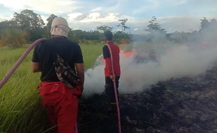 Awal Tahun, Kawasan TNRAW Sudah 4 Kali Terbakar