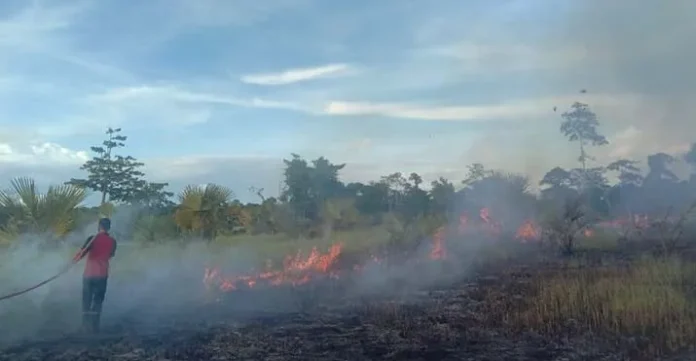 Awal Tahun, Kawasan TNRAW Sudah 4 Kali Terbakar