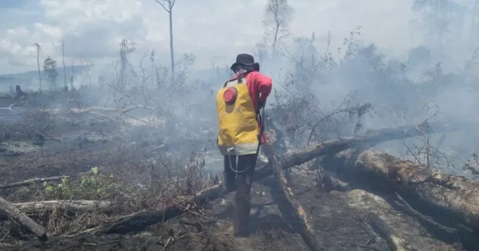 Lahan Gambut di Koltim Terbakar, Diduga Pembukaan Lahan