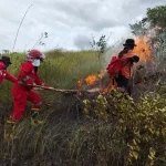 Karhutla Mulai Terjadi, Manggala Agni: Stop Buka Lahan dengan Membakar Karhutla Mulai Terjadi, Manggala Agni: Stop Buka Lahan dengan Membakar