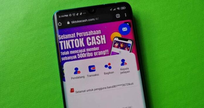 OJK Sultra Warning Pengguna Tiktok Cash, Legalitas Belum Jelas