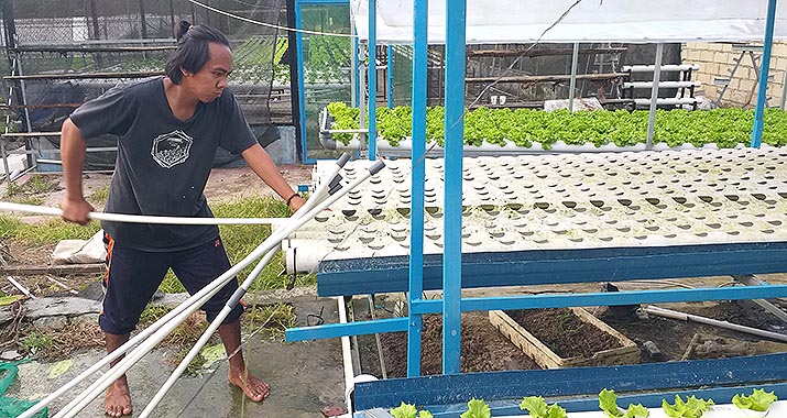 Hidroponik di Kendari: Tren Bertani yang Mendorong Gaya Hidup Sehat (Bagian-1)