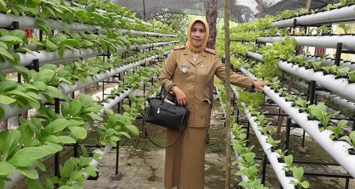 Hidroponik di Kendari: Tren Bertani yang Mendorong Gaya Hidup Sehat (Bagian-1)