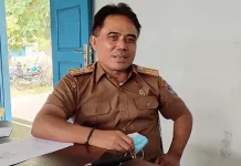 Lima Desa di Mubar Budidayakan Tanaman Porang Kepala Dinas Pertanian dan Pangan Mubar, Nestor Jono