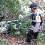 Hilang Kendali, Minibus di Kolut Terjun ke Jurang Sedalam 25 Meter Hilang Kendali, Minibus di Kolut Terjun ke Jurang Sedalam 25 Meter