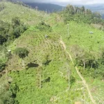 800 Hektar TWA Mangolo di Kolaka Dirambah, Ancaman Krisis Air Menanti 800 Hektar TWA Mangolo di Kolaka Dirambah, Ancaman Krisis Air Menanti