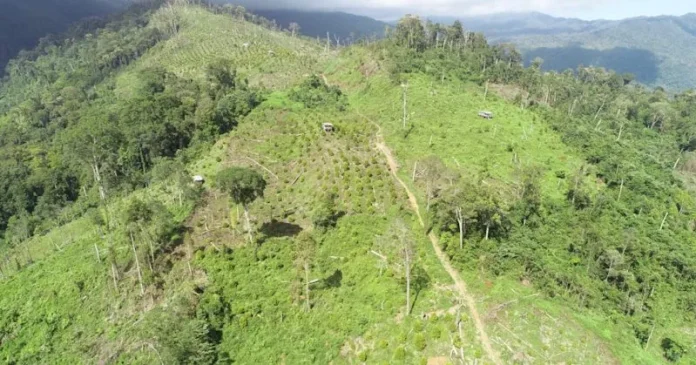 800 Hektar TWA Mangolo di Kolaka Dirambah, Ancaman Krisis Air Menanti