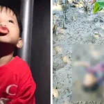 Bocah Hilang yang Viral Ditemukan Tak Bernyawa di Teluk Kendari Bocah Hilang yang Viral Ditemukan Tak Bernyawa di Teluk Kendari