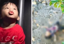 Bocah Hilang yang Viral Ditemukan Tak Bernyawa di Teluk Kendari Bocah Hilang yang Viral Ditemukan Tak Bernyawa di Teluk Kendari