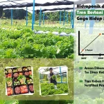 Hidroponik di Kendari: Tren Bertani yang Mendorong Gaya Hidup Sehat (Bagian-1) Hidroponik di Kendari: Tren Bertani yang Mendorong Gaya Hidup Sehat (Bagian-1)