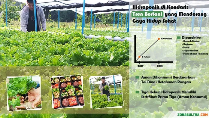 Hidroponik di Kendari: Tren Bertani yang Mendorong Gaya Hidup Sehat (Bagian-1)
