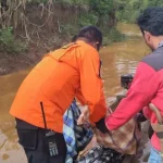Potongan Tubuh Nelayan di Konut yang Hilang Ditemukan, Diduga Diterkam Buaya Potongan Tubuh Nelayan di Konut yang Hilang Ditemukan, Diduga Diterkam Buaya