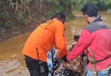 Potongan Tubuh Nelayan di Konut yang Hilang Ditemukan, Diduga Diterkam Buaya Potongan Tubuh Nelayan di Konut yang Hilang Ditemukan, Diduga Diterkam Buaya