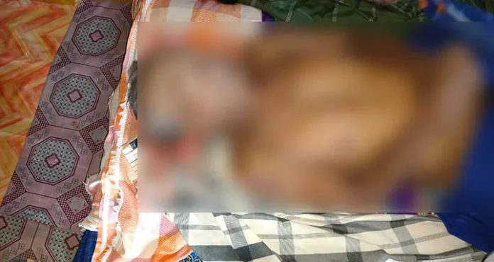Nelayan yang Hilang Usai Perahunya Ditabrak Ditemukan Meninggal di Perairan Pulau Katela