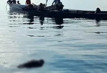 Sempat Hilang Dua Hari, Nelayan asal Bombana Ditemukan Meninggal di Selat Tiworo Sempat Hilang Dua Hari, Nelayan asal Bombana Ditemukan Meninggal di Selat Tiworo