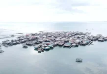 Warga Desa Tapitapi Muna Keluhkan Air Bersih dan Listrik Warga Desa Tapitapi Muna Keluhkan Air Bersih dan Listrik