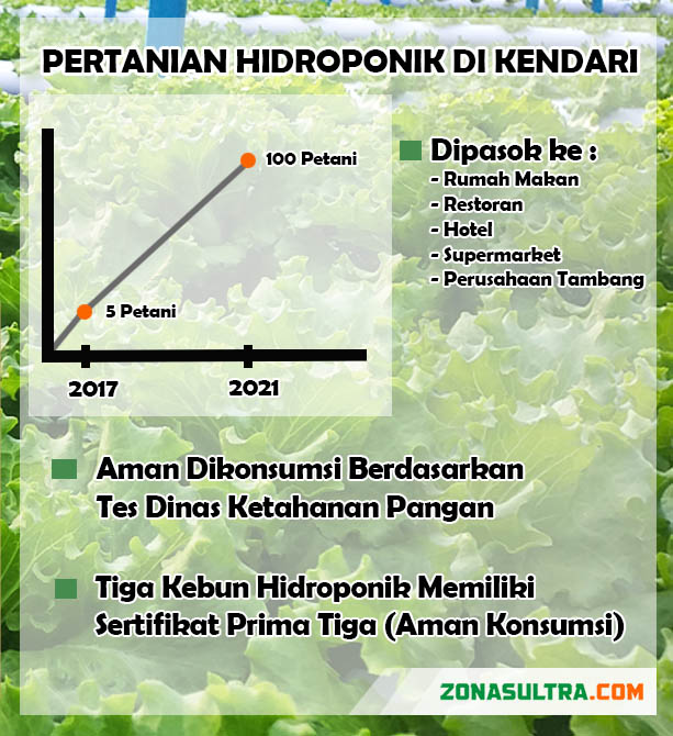 Hidroponik di Kendari: Tren Bertani yang Mendorong Gaya Hidup Sehat (Bagian-2)