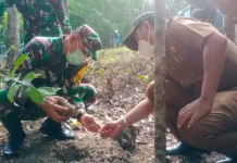 Ketua Tim Wasev Tanam Pala dan Kelapa di Lokasi TMMD ke-110 di Buton Ketua Tim Wasev Tanam Pala dan Kelapa di Lokasi TMMD ke-110 di Buton