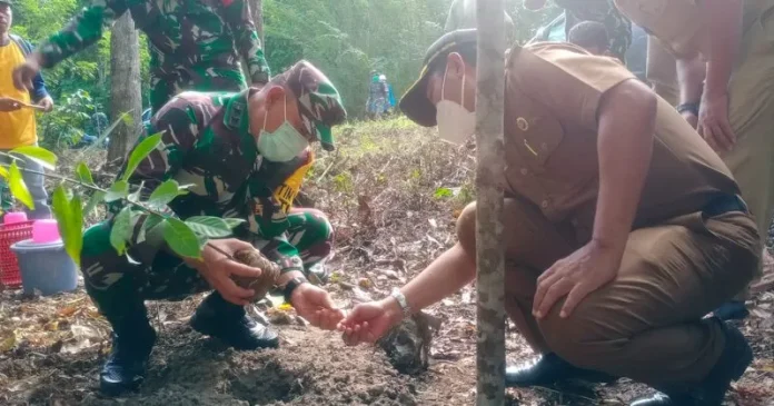 Ketua Tim Wasev Tanam Pala dan Kelapa di Lokasi TMMD ke-110 di Buton