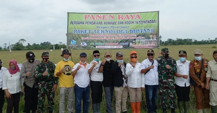 Gunakan Paket Teknologi Biotani, Hasil Panen Raya Padi di Konawe Meningkat