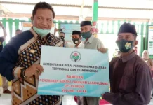 Bupati Muna Berharap Ada Penambahan Kapal Feri Rute Mutiara-Raha Bupati Muna Berharap Ada Penambahan Kapal Feri Rute Mutiara-Raha