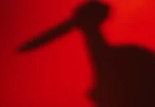 Seorang Suami di Muna Barat Tikam Perut Istrinya Pakai Pisau Dapur Warga Kendari Jadi Korban Begal, Polisi Kejar Pelaku