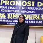 Dosen Mandala Waluya Ini Lulus dengan IPK 4,0 Usai Meneliti Buah Tomat Dosen Mandala Waluya Ini Lulus dengan IPK 4,0 Usai Meneliti Buah Tomat