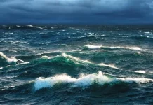 2020 hingga 2021: Dua Orang Hilang dan Tiga Meninggal di Laut Busel Dua Orang Tewas Saat Kapal Dihantam Ombak di Perairan Sampolawa