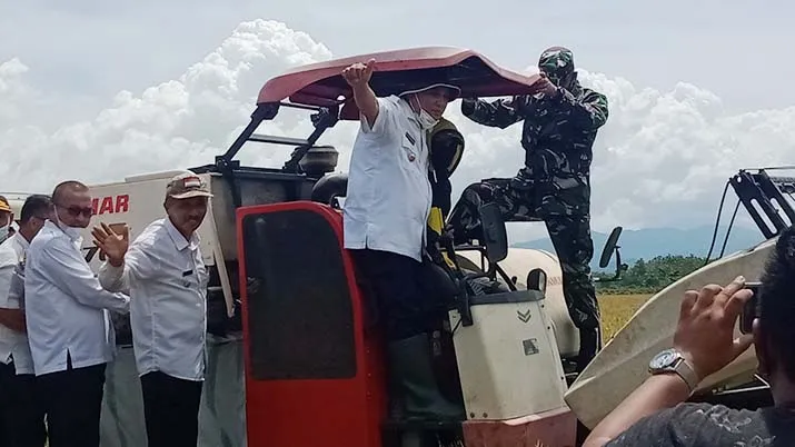 Konawe Panen Padi Perdana di Kawasan Pengembangan Tiga Kali Tanam