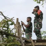 Jaringan Sulit, Tim TNI Bangun Desa di Buton Panjat Pohon Mengirim Data Harian Jaringan Sulit, Tim TNI Bagun Desa di Buton Panjat Pohon Mengirim Data Harian