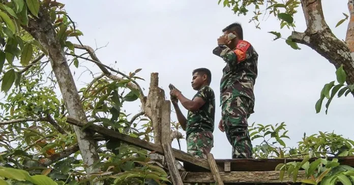 Jaringan Sulit, Tim TNI Bagun Desa di Buton Panjat Pohon Mengirim Data Harian