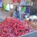 Stok Berkurang, Harga Cabai di Kendari Meroket Hingga Rp40 Ribu Per Kilogram Stok Berkurang, Harga Cabai di Kendari Meroket Hingga Rp40 Ribu Per Kilogram