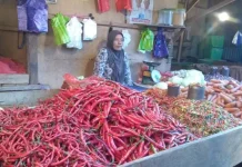 Stok Berkurang, Harga Cabai di Kendari Meroket Hingga Rp40 Ribu Per Kilogram Stok Berkurang, Harga Cabai di Kendari Meroket Hingga Rp40 Ribu Per Kilogram