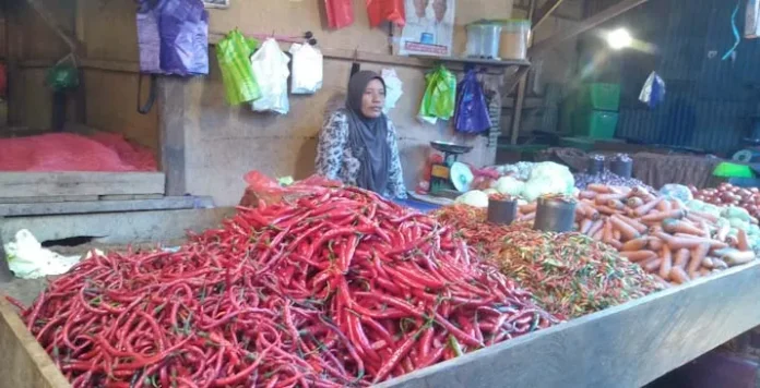 Stok Berkurang, Harga Cabai di Kendari Meroket Hingga Rp40 Ribu Per Kilogram