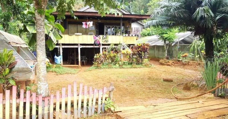 PT CNI Fokus Mitigasi Bencana dan Rehabilitasi Ekologi Wilayah Terdampak Longsor 