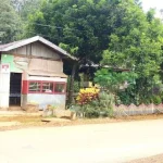 PT CNI Fokus Mitigasi Bencana dan Rehabilitasi Ekologi Wilayah Terdampak Longsor PT CNI Fokus Mitigasi Bencana dan Rehabilitasi Ekologi Wilayah Terdampak Longsor