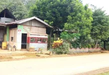 PT CNI Fokus Mitigasi Bencana dan Rehabilitasi Ekologi Wilayah Terdampak Longsor PT CNI Fokus Mitigasi Bencana dan Rehabilitasi Ekologi Wilayah Terdampak Longsor