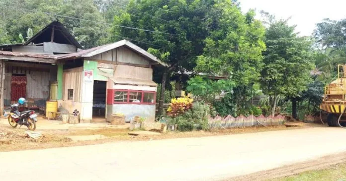 PT CNI Fokus Mitigasi Bencana dan Rehabilitasi Ekologi Wilayah Terdampak Longsor