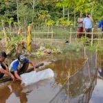 DKP Mubar Salurkan Bantuan 20 Ribu Benih Ikan Air Tawar kepada 11 Kelompok Budidaya DKP Mubar Salurkan Bantuan 20 Ribu Benih Ikan Air Tawar kepada 11 Kelompok Budidaya
