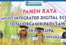 BI Sultra Dorong Potensi Daerah Melalui Pengembangan Sektor Pertanian dan Pariwisata BI Sultra Dorong Potensi Daerah Melalui Pengembangan Sektor Pertanian dan Pariwisata