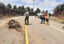 Pengendara Motor di Kolut Tewas Terlindas Mobil Pengendara Motor di Kolut Tewas Terlindas Mobil