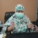 123 Warga Kendari Terserang DBD, 3 Meninggal Dunia Kepala Dinas Kesehatan kendari Rahminigrum