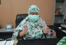 123 Warga Kendari Terserang DBD, 3 Meninggal Dunia Kepala Dinas Kesehatan kendari Rahminigrum