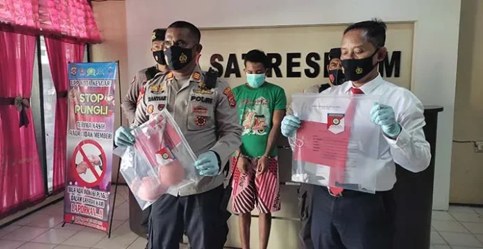 ART di Perumahan Citraland Kendari Nyaris Diperkosa Pencuri