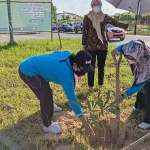 Peringati Hari Lingkungan Hidup Sedunia, DLHK Kendari Tanam Ratusan Pohon Peringati Hari Lingkungan Hidup Sedunia, DLHK Kendari Tanam Ratusan Pohon